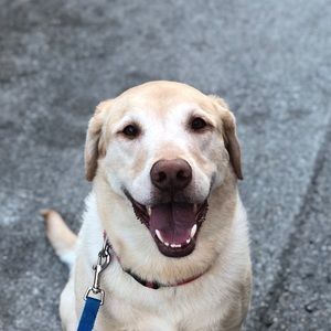 Meet your Posher, Johnny